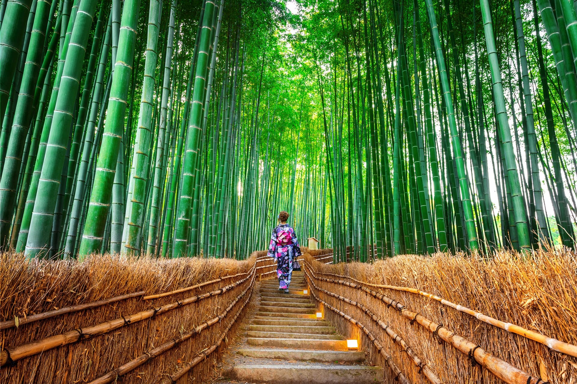 Le Mont Arashiyama