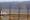 La zone démilitarisée (DMZ) : zoom sur la frontière entre la Corée du Nord et du Sud ! 