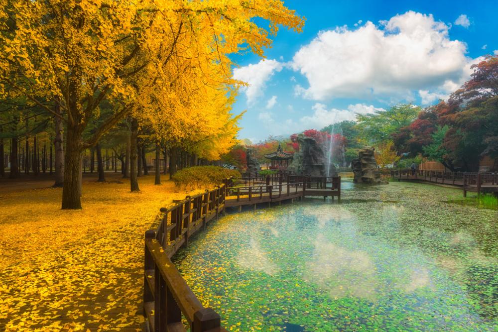 L’automne en Corée : les visites immanquables