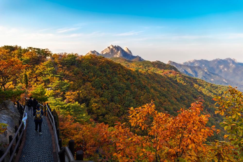 Découvrez les 5 parcs à faire à Séoul